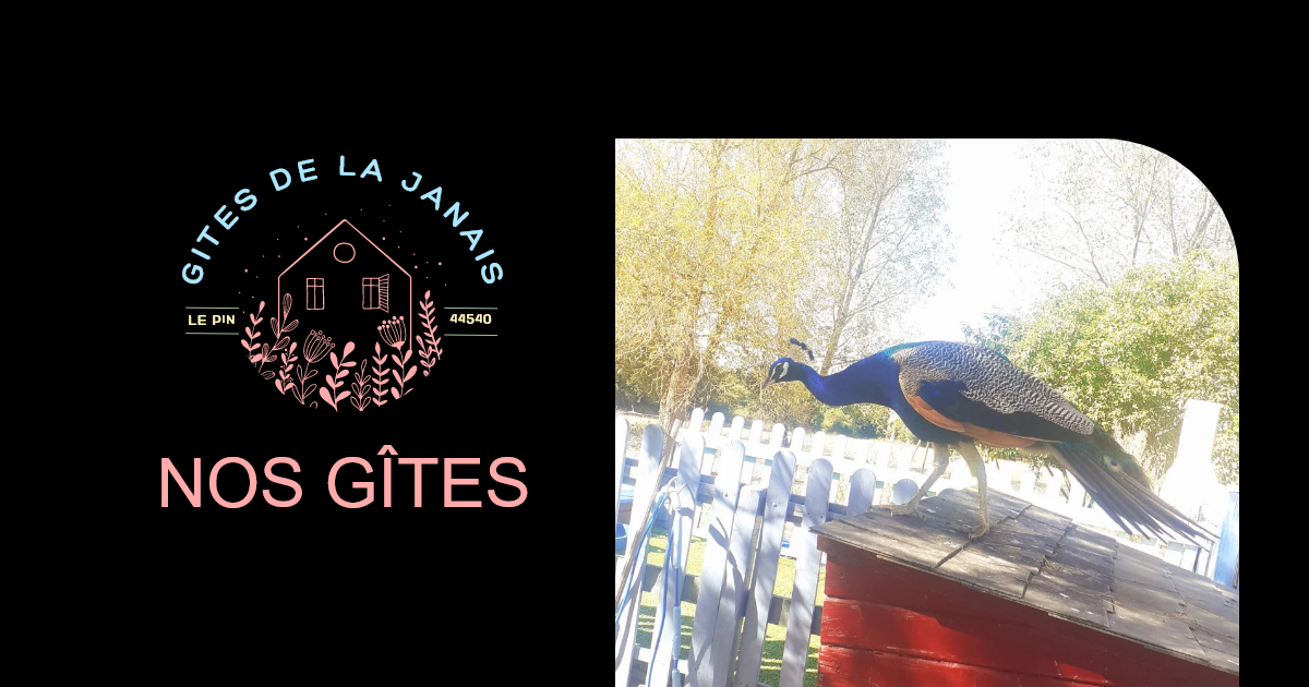 Gîtes de la Janais - ensemble 2 gîtes